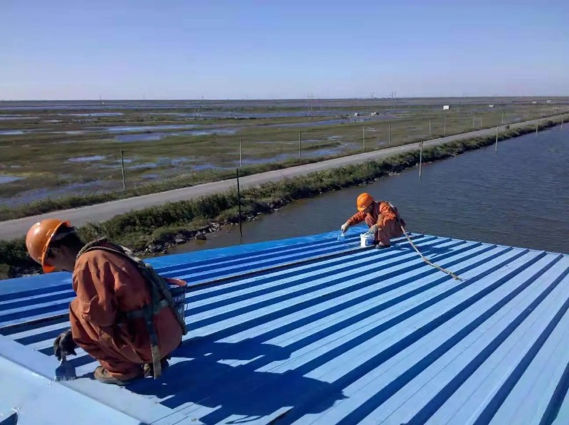 昌乐钢结构屋面漏水原因